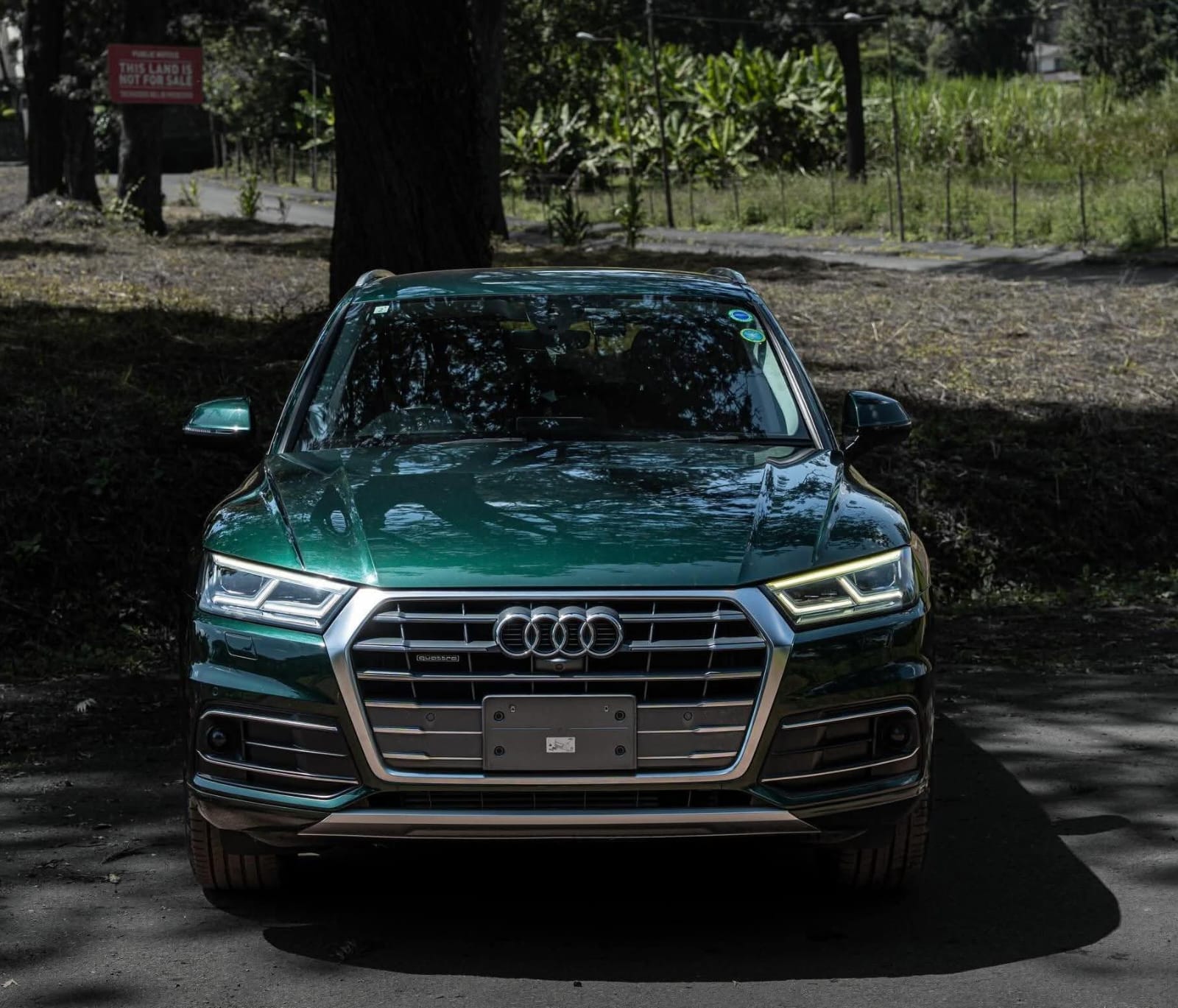 2019 Audi Q5 TFSI